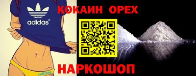 кокс Кингисепп
