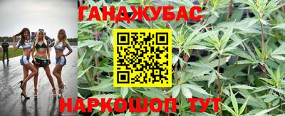 PSILOCYBIN Кимры