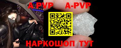 кокс Кингисепп