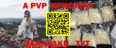 кокс Кингисепп