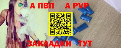 кокс Кингисепп