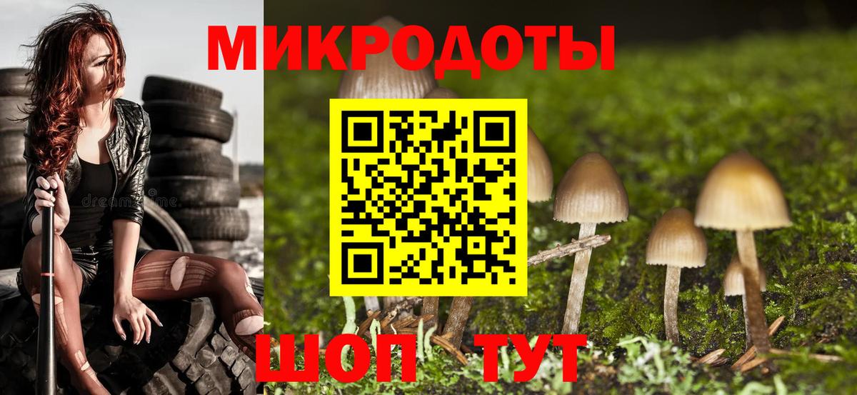 Псилоцибиновые грибы мухоморы Комсомольск-на-Амуре