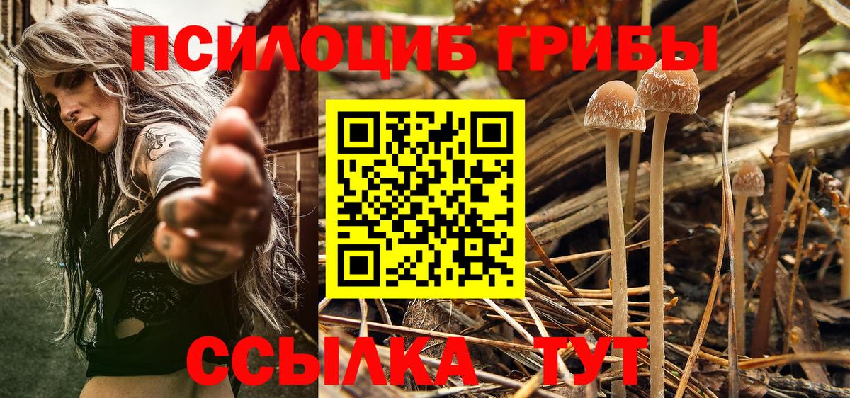 Галлюциногенные грибы мицелий  закладка  Комсомольск-на-Амуре  Вход с VPN 